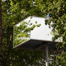 This is Jonas Schneider