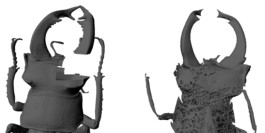 This is Jonas Schneider