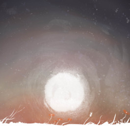 This is Jonas Schneider