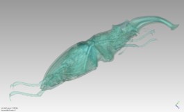 This is Jonas Schneider