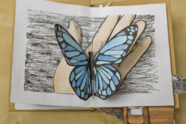 This is Jonas Schneider