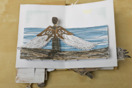 This is Jonas Schneider