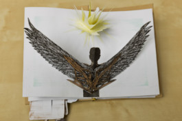 This is Jonas Schneider