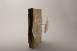 This is Jonas Schneider