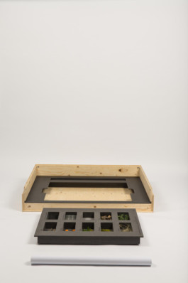 This is Jonas Schneider