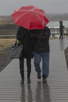 This is Jonas Schneider