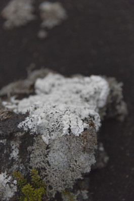 This is Jonas Schneider