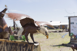 This is Jonas Schneider