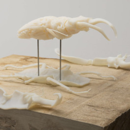 This is Jonas Schneider