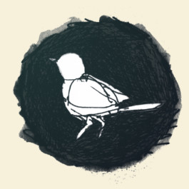 This is Jonas Schneider