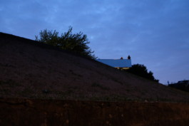 This is Jonas Schneider