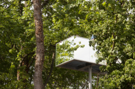 This is Jonas Schneider