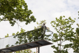 This is Jonas Schneider