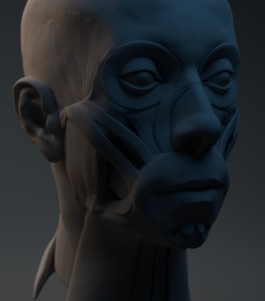 This is Jonas Schneider